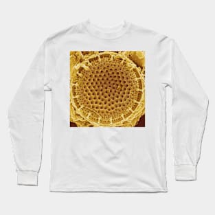 Diatom - Thalassiosira (external, gold) Long Sleeve T-Shirt